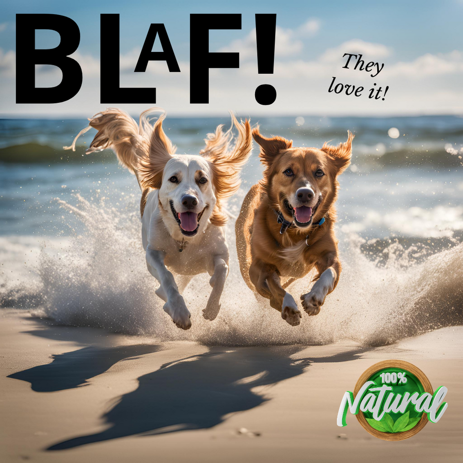 BLaF!-for-dogs